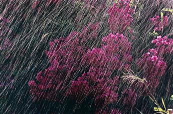 ERNST HAAS (1921-1986) Portfolio entitled The Creation. 1962-81; printed 1981.